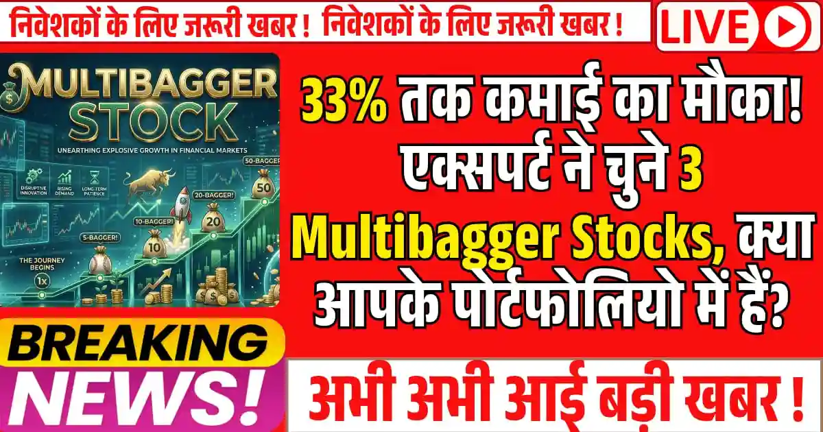 33% तक कमाई का मौका! एक्सपर्ट ने चुने 3 Multibagger Stocks, क्या आपके पोर्टफोलियो में हैं?