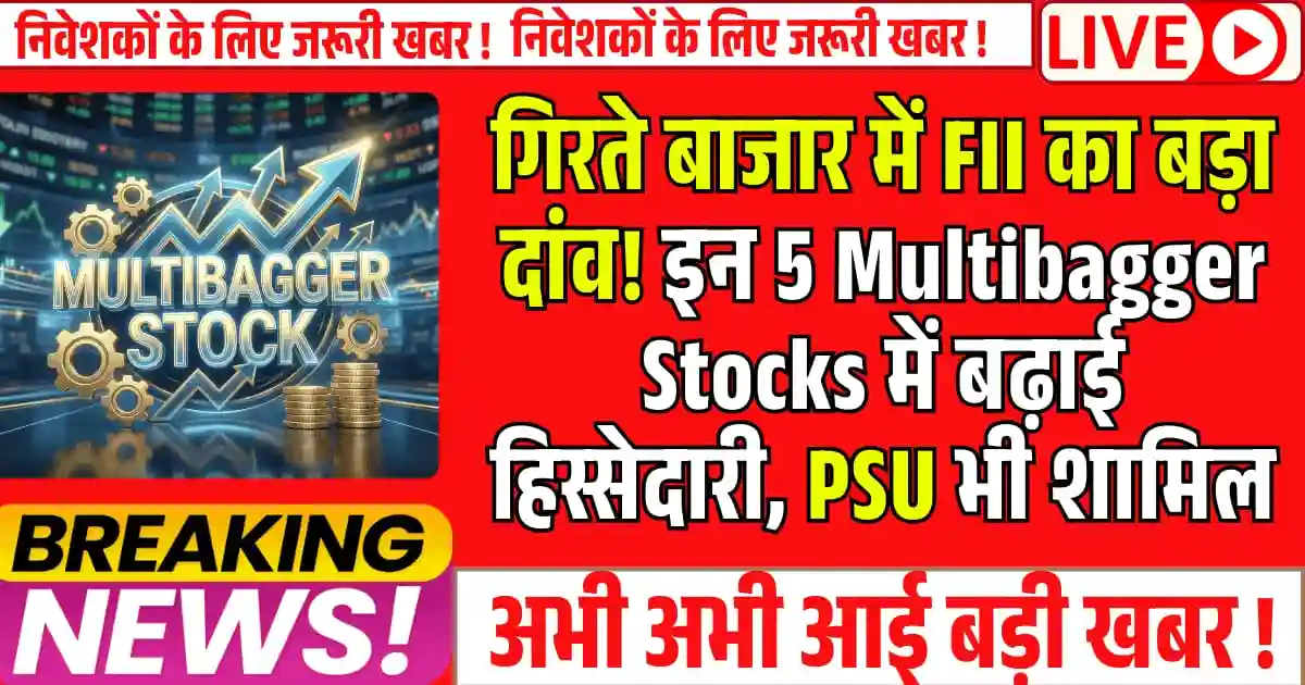 गिरते बाजार में FII का बड़ा दांव! इन 5 Multibagger Stocks में बढ़ाई हिस्सेदारी, PSU भी शामिल